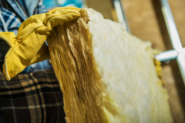Best Eco-Friendly Insulation in Canton, GA