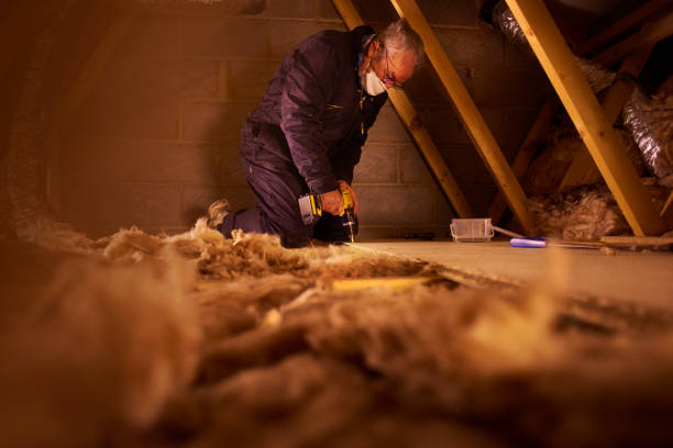Professional Insulation Contractor in Canton, GA