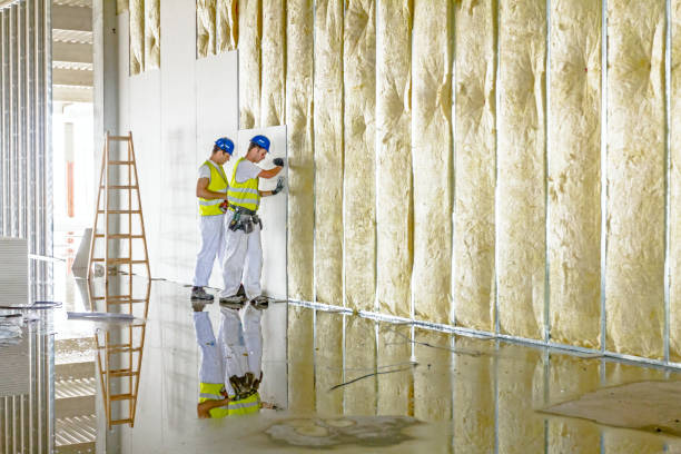 Best Residential Insulation in Canton, GA